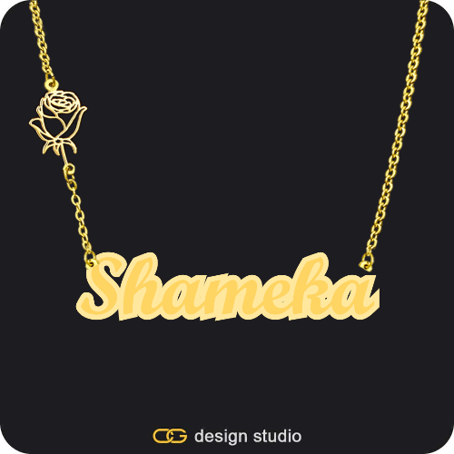 The Spotlight Double Plated Name Necklace